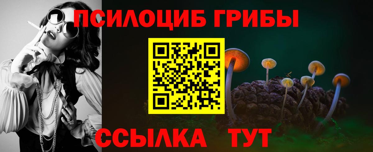 Большой Камень  Псилоцибиновые грибы GOLDEN TEACHER  Вход с VPN 